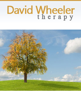 Profile picture for David Wheeler Therapy
