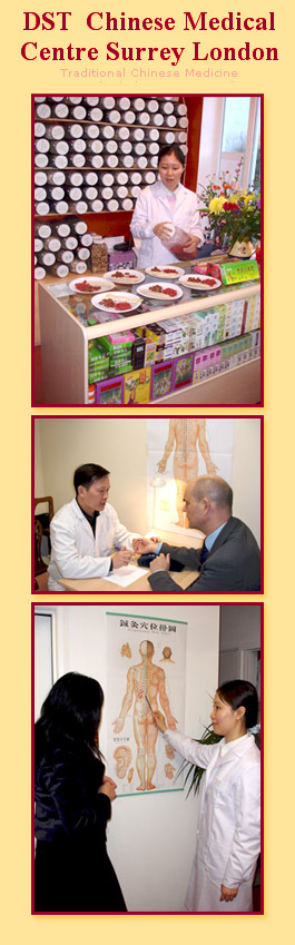 Profile picture for D S T Chinese Medicine