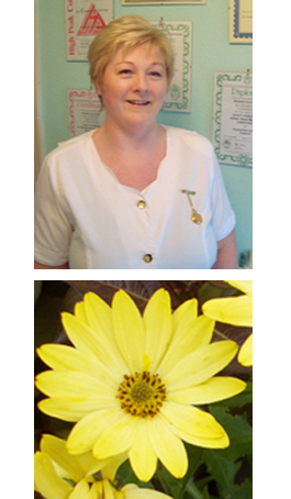 Profile picture for Holistic Health and Beauty by Lizzie