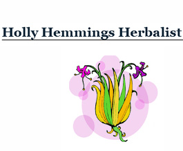 Profile picture for Holly Hemmings Herbalist