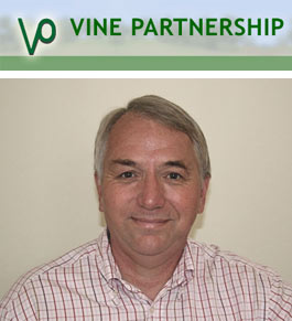 Profile picture for Vine Partnership Psychotherapy