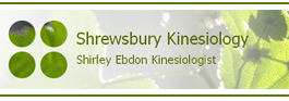 Profile picture for Shirley Ebdon Kinesiology