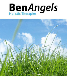 Profile picture for Ben Angels