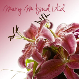 Profile picture for Mary Mifsud Ltd