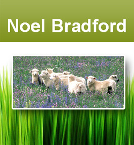 Profile picture for Noel Bradford Hypnotherapist