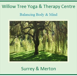 Profile picture for Willow Tree Yoga