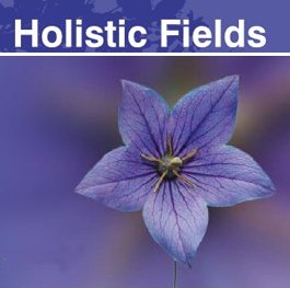 Profile picture for Holistic Fields