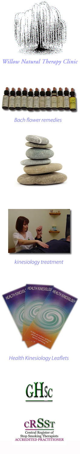 Profile picture for Willow Natural Therapy Clinic