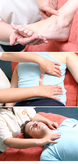 Profile picture for Patricia Bryden Therapies