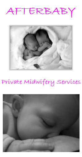 Profile picture for Afterbaby Postnatal Care Services