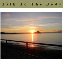 Profile picture for Talk To The Body