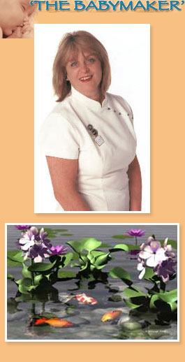Profile picture for Susan Calvert