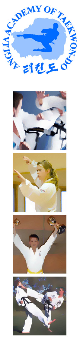 Profile picture for Anglia Academy Of Tae Kwon Do Personal Training