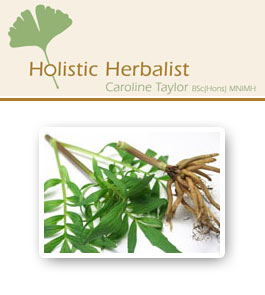 Profile picture for Holistic Herbalist