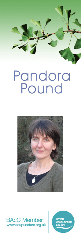Profile picture for Community Acupuncture