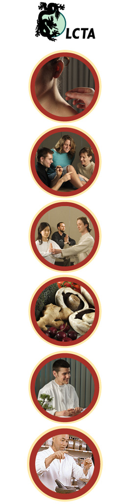 Profile picture for The London College of Traditional Accupuncture and Oriental Medicine