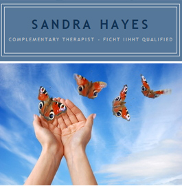 Profile picture for Sandra Hayes