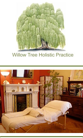 Profile picture for Willow Tree Holistics