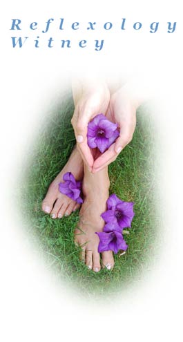 Profile picture for Margaret Chanter