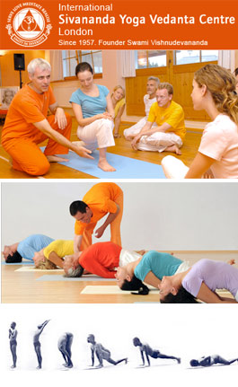 Profile picture for Sivananda Yoga Vedanta Centre