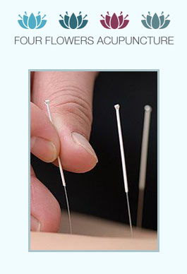 Profile picture for Four Flowers Acupuncture