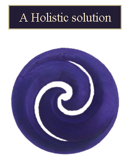 Profile picture for A Holistic Solution