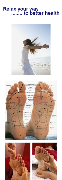 Profile picture for Jeanette Barsalini