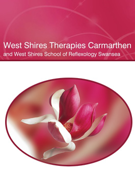 Profile picture for West Shires Therapies Carmarthen