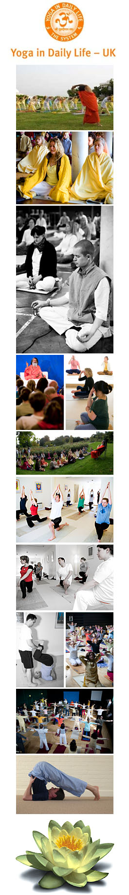 Profile picture for Yoga in Daily Life Association UK