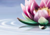 Thumbnail picture for Emerald Holistic Therapies