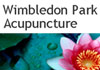 Thumbnail picture for Wimbledon Park Acupuncture