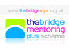 Thumbnail picture for The Bridge Mentoring Plus Scheme