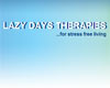 Thumbnail picture for Lazy Days Therapies