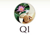 Thumbnail picture for QI - Holistic Therapies for Health and Wellbeing