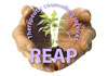 Thumbnail picture for Reap Therapeutic Counselling