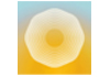 Click for more details about Transcendental Meditation Hampshire