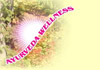 Thumbnail picture for Ayurveda Wellness