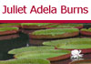Thumbnail picture for Juliet Adela Burns Acupuncture