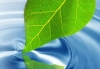Thumbnail picture for Mindfulness West