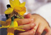 Thumbnail picture for Healing Touch