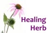 Thumbnail picture for Healing Herb