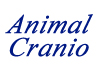 Thumbnail picture for Animal Cranio