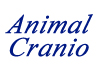 Thumbnail picture for Animal Cranio