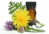 Thumbnail picture for Catherine Schofield (BSc MNIMH) Herbal Medicine