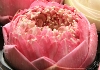 Thumbnail picture for N19 Holistic Aromatherapy for Women