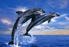 Thumbnail picture for The Phoenix School of Reiki