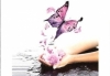 Thumbnail picture for Evangeline Complementary Therapies