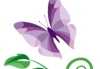 Thumbnail picture for Essence of Aromatherapy