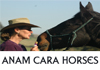Thumbnail picture for Anam Cara Horses