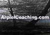 Thumbnail picture for Arpiel Coaching